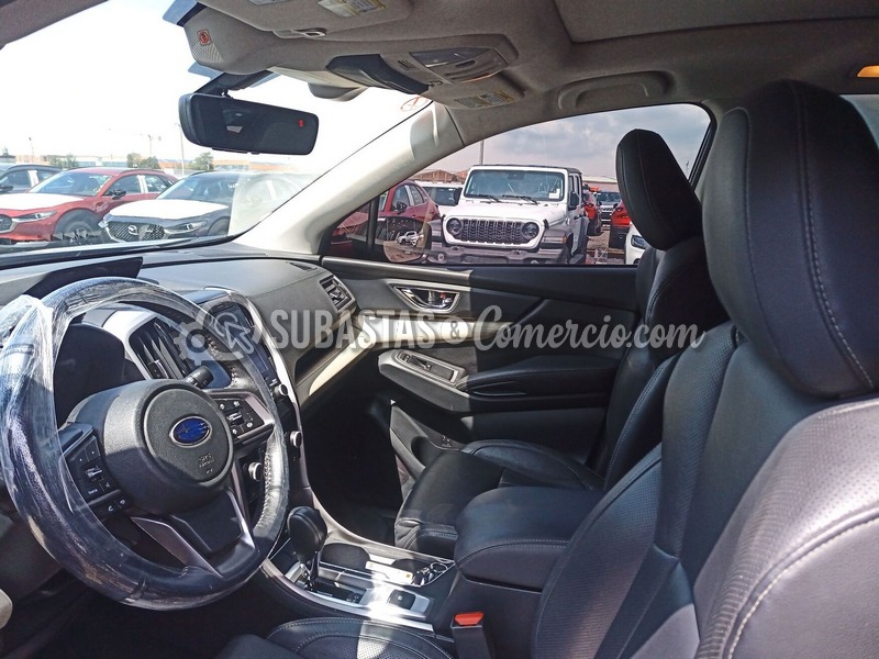 WhatsApp Image 2025-12-03 at 11.29.42 AM (11).jpeg